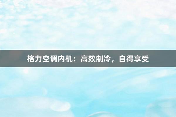 格力空调内机：高效制冷，自得享受